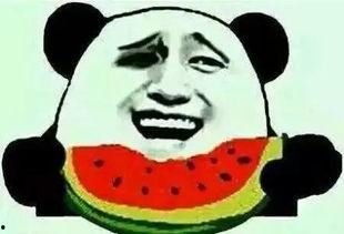 吃瓜的好幸福,揭秘“吃瓜好幸福”背后的生活哲学